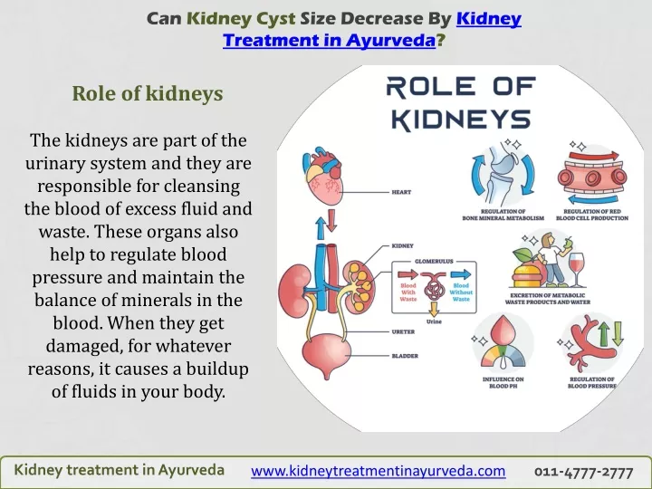 can kidney cyst size decrease by kidney treatment