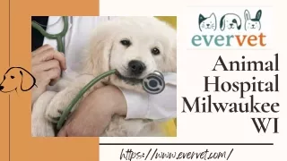 Welcome to #1 Animal Hospital in Milwaukee WI Emergency Centre for Animal