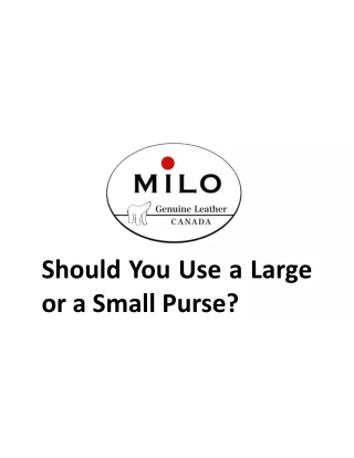 should you use a large or a small purse
