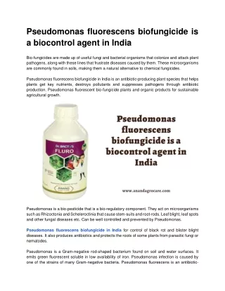 Pseudomonas fluorescens biofungicide is a biocontrol agent in India