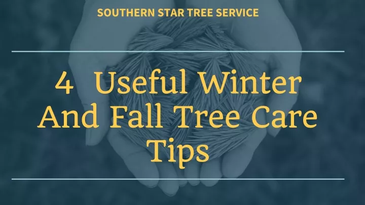 southern star tree service