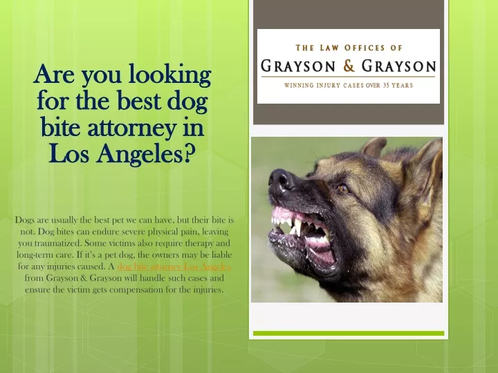 are you looking for the best dog bite attorney in los angeles