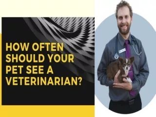 How Often Should Your Pet See a Veterinarian?