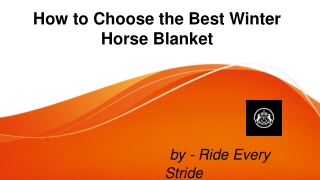 How to Choose the Best Winter Horse Blanket - Ride Every Stride