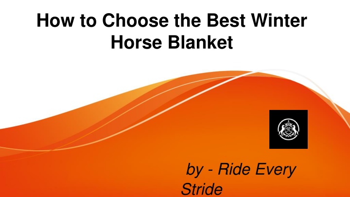 how to choose the best winter horse blanket