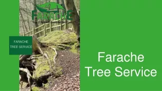 Farache - Tree Services in Sydney Australia