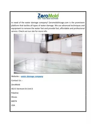 Water Damage Company  Zeromoldchicago.com