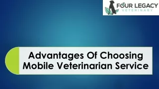 Advantages Of Choosing Mobile Veterinarian Service