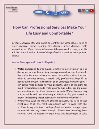 how can professional services make your life easy