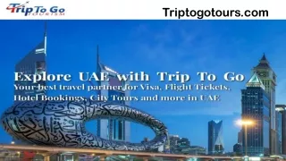 Dubai visit visa apply online -Tripgototours