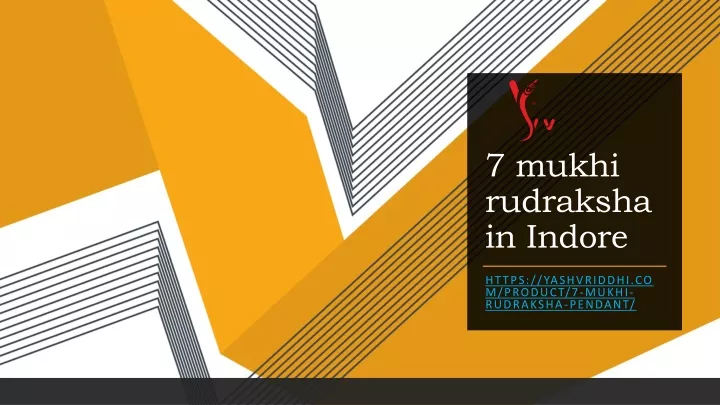 7 mukhi rudraksha in indore