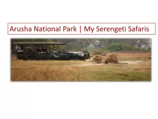 Arusha National Park | My Serengeti Safaris