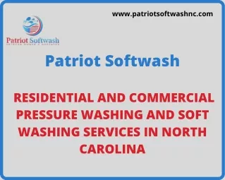 Patriot Softwash- Pressure Washer Experts In Raleigh NC
