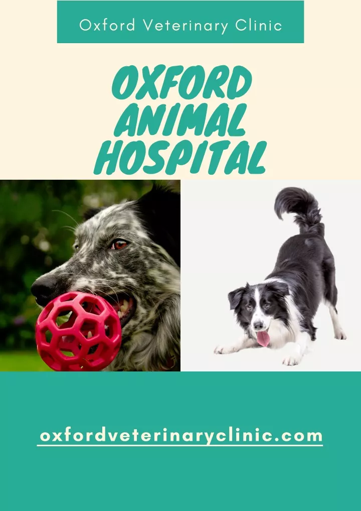 oxford veterinary clinic