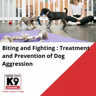 Biting and Fighting Treatment and Prevention of Dog Aggression