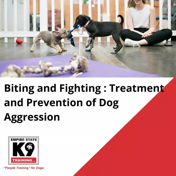 biting and fighting treatment and prevention