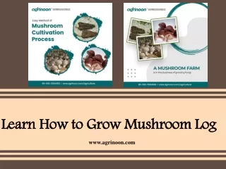 learn how to grow mushroom log