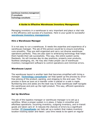 warehouse inventory management it consultants