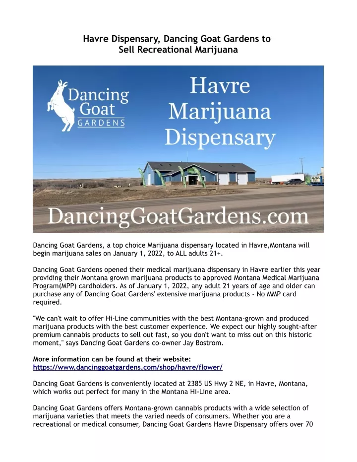 havre dispensary dancing goat gardens to sell