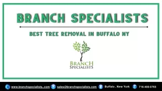 Branch Specialists - Best Tree Removal in Buffalo NY