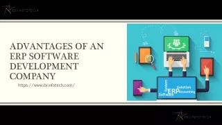 advantages of an erp software development company