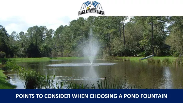 points to consider when choosing a pond fountain