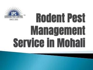 Rodent Pest Management Service in Mohali