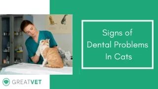 signs of dental problems in cats