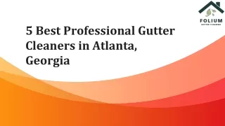 5 Best Professional Gutter Cleaners in Atlanta, Georgia