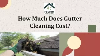 How Much Does Gutter Cleaning Cost