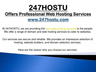 247HOSTU Offer Professional Web Hosting Services