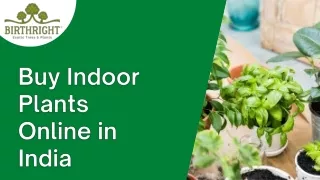 Buy Indoor Plants Online in India