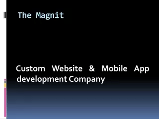 the magnit