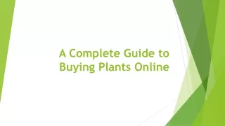 A Complete Guide to Buying Plants Online