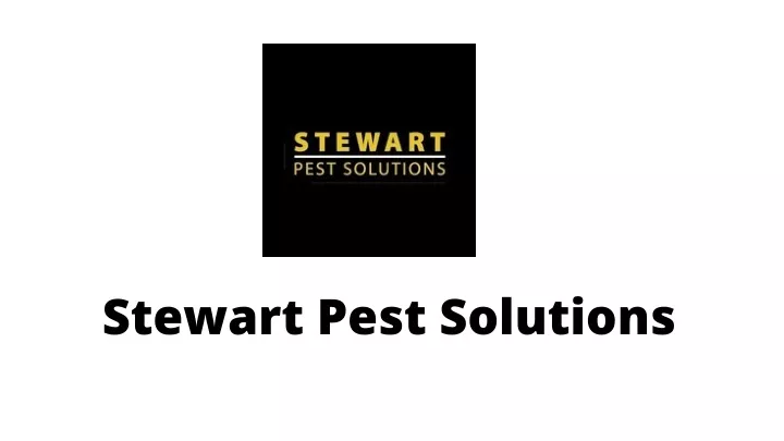 stewart pest solutions