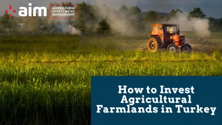 how to invest how to invest agricultural