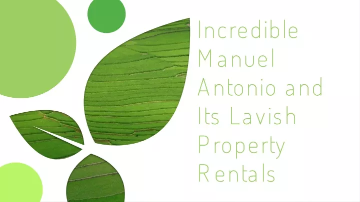 incredible manuel antonio and its lavish property rentals