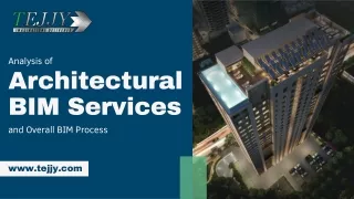 Analysis of Architectural BIM Services and Overall BIM Process
