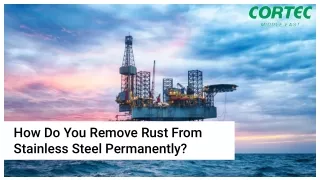how do you remove rust from stainless steel
