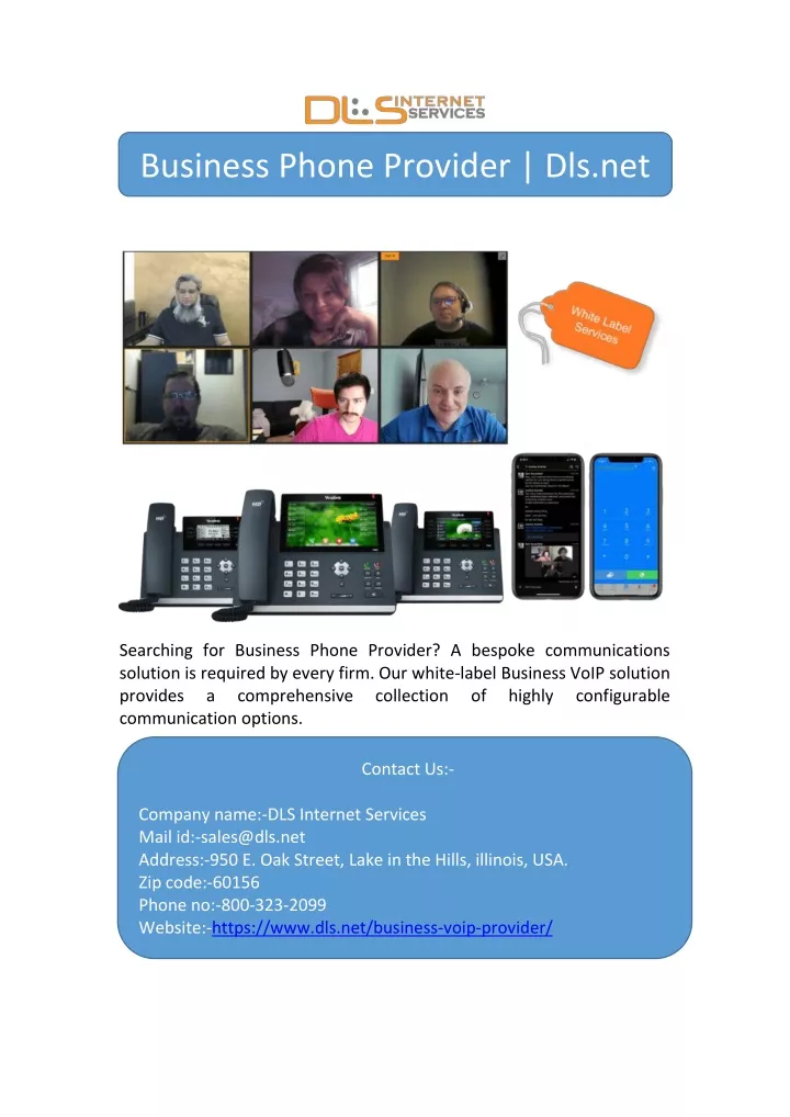 business phone provider dls net