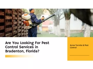 Are You Looking For Pest Control Services in Bradenton, Florida