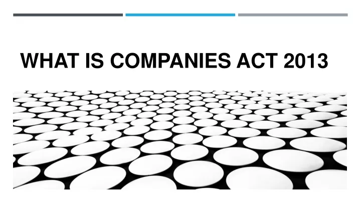 what is companies act 2013