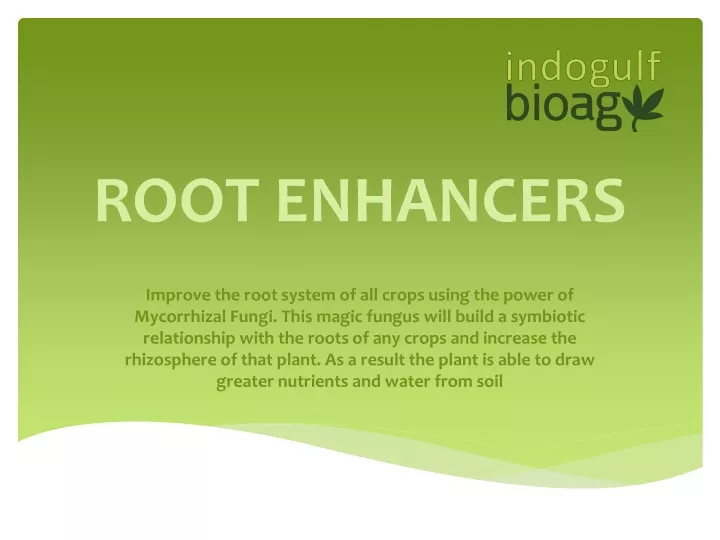 root enhancers