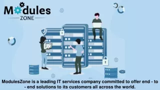moduleszone is a leading it services company
