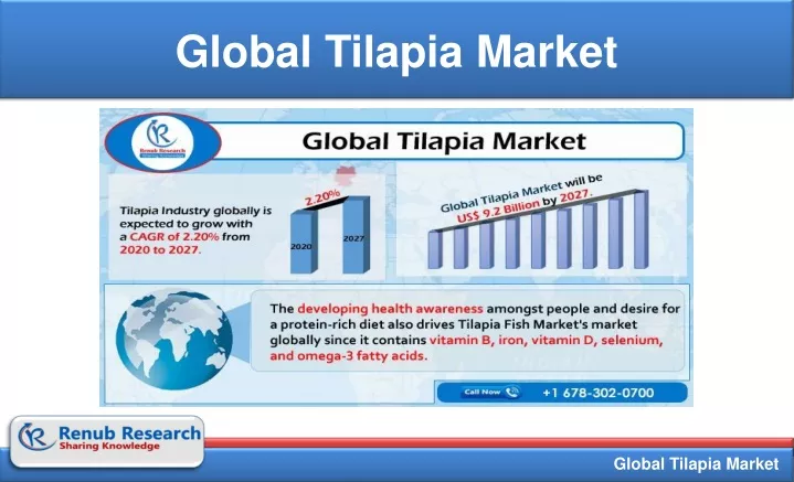 global tilapia market