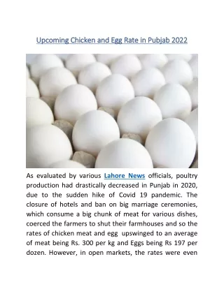 upcoming chicken and egg rate in pubjab 2022