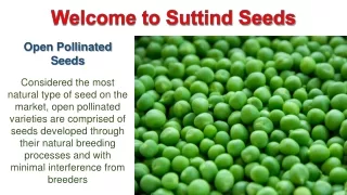 Buy Home Gardening Seeds