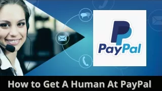 how to get a human at paypal how to get a human
