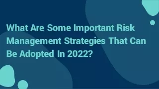 what are some important risk managemen t s t ra t eg i e s tha t ca n be adopted in 2022