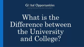 what is the difference between the university and college